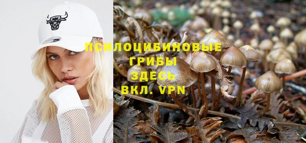 mdpv Абдулино