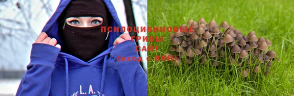 мет Абинск